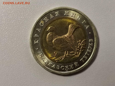 Красная книга: 50р 1993г. Кавказский тетерев, до 01.03 - СЧ Тетерев -1
