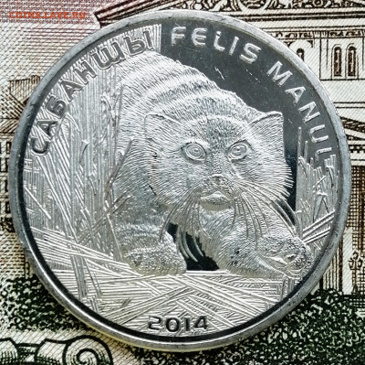 50 тенге, "Манул". До 29.02.2020 - IMG_20200226_180714_465