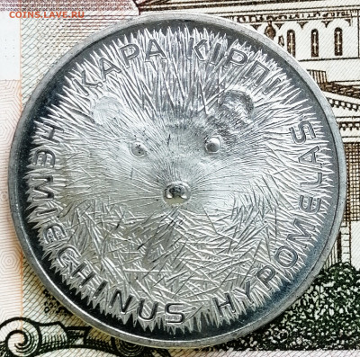 50 тенге, "Ёж". До 29.02.2020 - IMG_20200226_181031_874