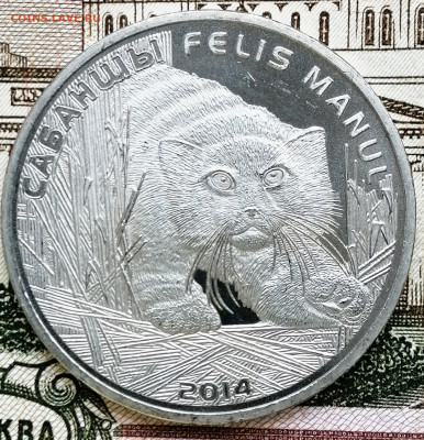 50 тенге, "Манул" - 2. До 29.02.2020 - IMG_20200226_181352_701