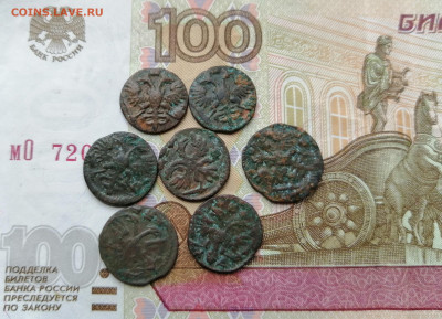 7 монет врп полушек Петра 1 - IMG_20200227_125854