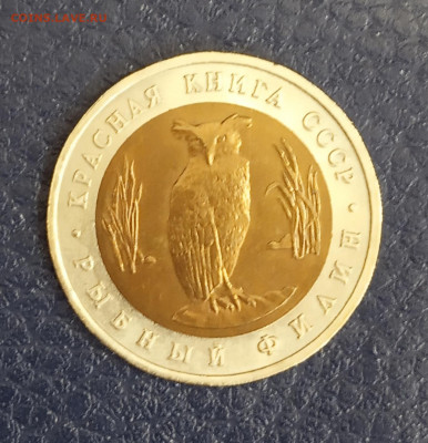 Красная книга  рыбный филин - IMG_20200225_124829