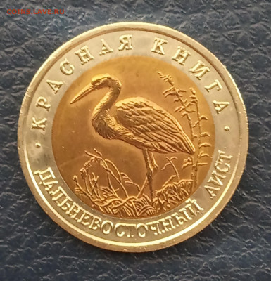 Красная книга  дальневосточный аист - IMG_20200225_125243