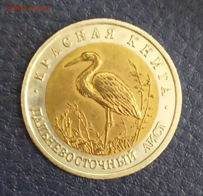 Красная книга  дальневосточный аист - IMG_20200225_125038