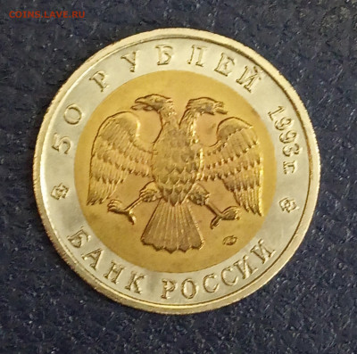 Красная книга  дальневосточный аист - IMG_20200225_125059