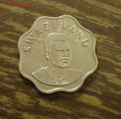 СВАЗИЛЕНД - 10ц ТРОСТНИК волнистая 2005 до 6.03, 22.00 - Свазиленд 10 ц тростник