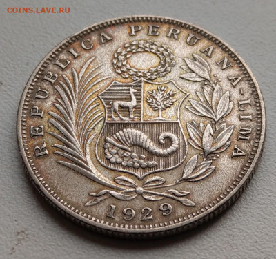 2 соля 1929 до 22-00 03.03 - IMAG6070~2