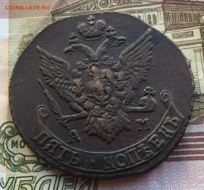 5 копеек 1791 АМ хорошие до 04.03 в 22:00 мск - 973F3772-4A5F-4792-945B-15E362D055F2