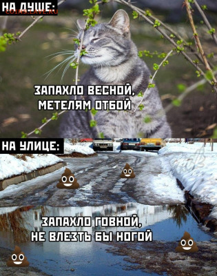 делает - прямо сейчас !!! - k9PEbojsCms