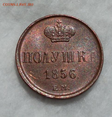 ПОЛУШКА 1856г ЕМ штемпельные UNC - IMG_20200301_145240