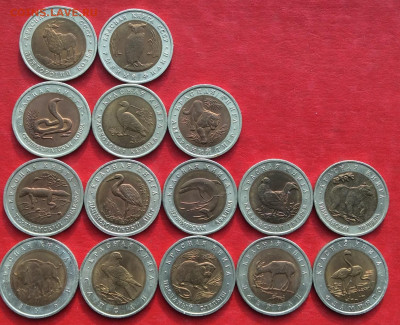 Набор "Красная книга" 1991-94 гг. до 04.03.20г. - IMG_6632.JPG