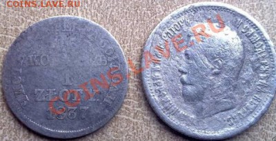 1zlot 1837 - 50244094