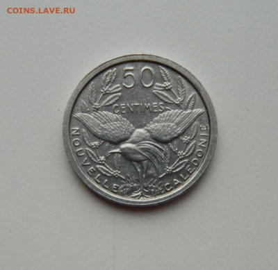 Новая Каледония 50 сантимов 1949 г. (Фауна) до 05.03.20 - DSCN9934.JPG