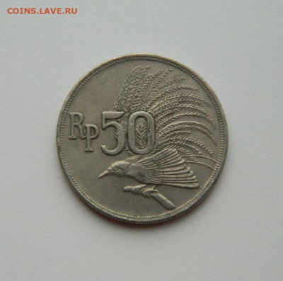 Индонезия 50 рупий 1971 г. (Фауна) до 05.03.20 - DSCN9924.JPG