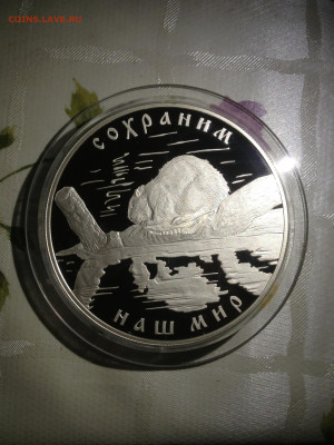 25 руб. Сохраним наш мир Речной Бобр, 2008 до 08.03 - mHrm3ik0wPU