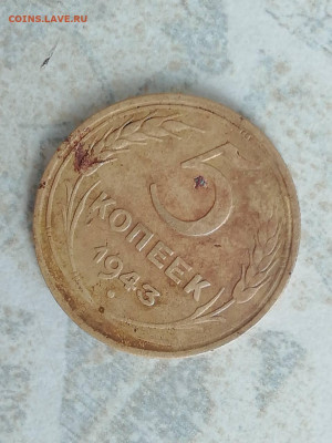 Монета 5 копеек 1943 - IMG-20257846dcfa5b5ebe48a58125e07a82-V
