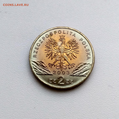 ПОЛЬША,2 злотых 2003г(Европейский угорь)до 6.03.2020г - IMG_20200303_181529_HDR