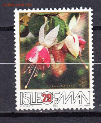 МЭН 1988 цветы 1м 29п до 09 03 - 161