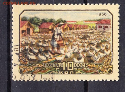 СССР 1956 птицефабрика 1м до 10 03 - 420г