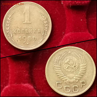1 копейка 1954, 1955 год. До 09.03 - IMG_20200304_160009