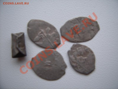 Подскажите по чешуйке - SUC53861.JPG