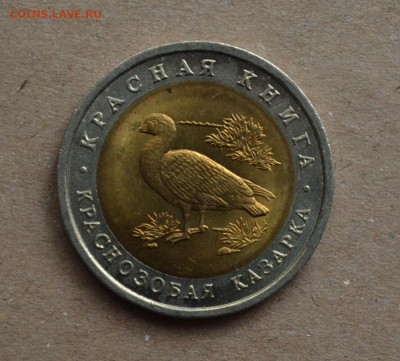 Краснозобая Казарка 10 рублей 1992  до 22-00 МСК 07.03.2020 - DSC_0072.JPG