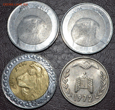 Алжир 1972-2013 Фикс   до ухода в архив - DSC_0026.JPG