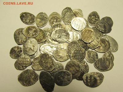 Грозный 50 чешуек без разбора - IMG_2316.JPG