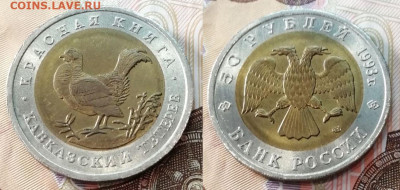 Красная Книга 1993 год комплект 5 штук с 200 рублей - Тетерев