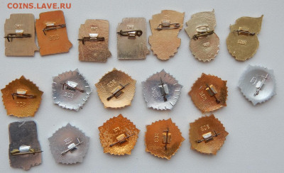 Солянка значков ГТО,разряды (легкие) 18 шт. до 11.03.20 - DSCN3440.JPG