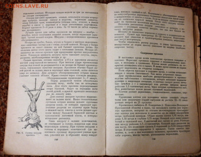 Домоводство 1960г. - SAM_7193.JPG