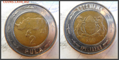Ботсвана 2 пулы, 2013 БИМ - 16