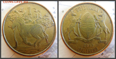 Ботсвана 1 пула, 2013 - 19