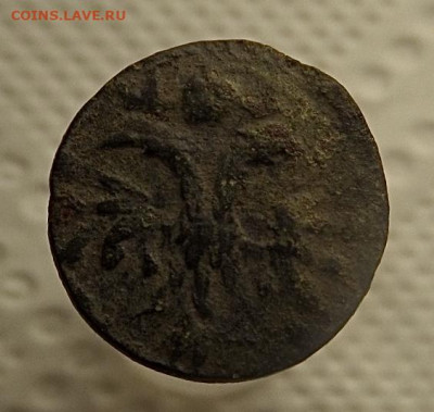 Копейка Петра. 2 штуки. И полушка 1719года. - F1BD5B16-5583-498F-BC7C-614D623E9642