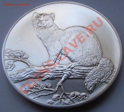 3 рубля 1995 Оценка - P8230935.JPG