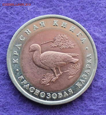 Красная книга 10 рублей 1992 год.Казарка - IMG_0045.JPG