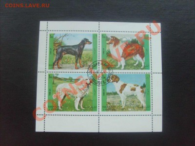 10 руб. - S5000004_thumb