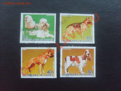 10 руб. - S5000005_thumb