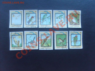 10 руб. - S5000009_thumb