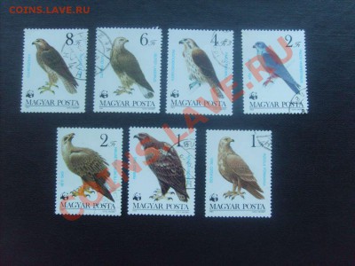 10 руб. - S5000011_thumb