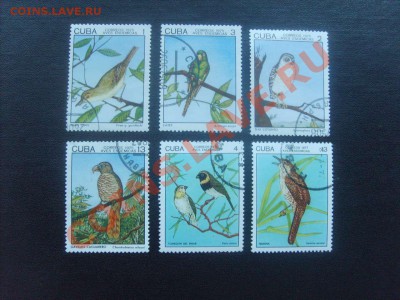 10 руб. - S5000012_thumb