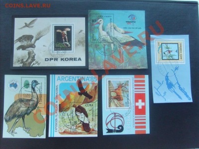 50 руб. - S5000015_thumb