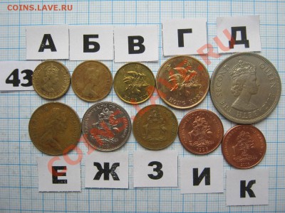 ЭКЗОТИКА-2. МНОГО ВСЯКОЙ РАЗНОЙ!!! ПОСТОЯННОЕ ПОПОЛНЕНИЕ!!! - 43-2.JPG