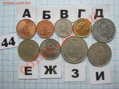 ЭКЗОТИКА-2. МНОГО ВСЯКОЙ РАЗНОЙ!!! ПОСТОЯННОЕ ПОПОЛНЕНИЕ!!! - 44-1.JPG
