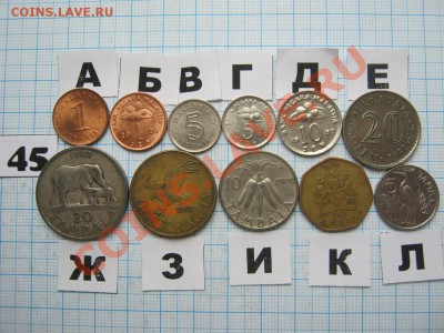 ЭКЗОТИКА-2. МНОГО ВСЯКОЙ РАЗНОЙ!!! ПОСТОЯННОЕ ПОПОЛНЕНИЕ!!! - 45-1.JPG
