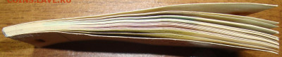 Чековая книжка. 25 руб. 1989. Полная. До 16.03. в 22.00 МСК - DSC03610=.JPG