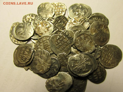 Грозный 50 чешуек без разбора 2 - IMG_2355.JPG