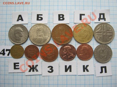 ЭКЗОТИКА-2. МНОГО ВСЯКОЙ РАЗНОЙ!!! ПОСТОЯННОЕ ПОПОЛНЕНИЕ!!! - 47-2.JPG