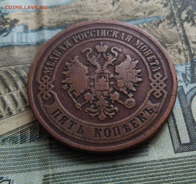 5 копеек 1875г. на оценку - IMG_20200312_162633