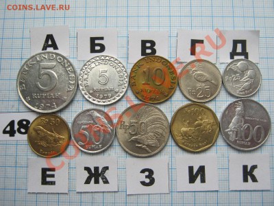 ЭКЗОТИКА-2. МНОГО ВСЯКОЙ РАЗНОЙ!!! ПОСТОЯННОЕ ПОПОЛНЕНИЕ!!! - 48-1.JPG